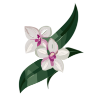 orquídea flor transparente fundo, ai generativo png