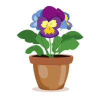 Pansy flower transparent background,Ai generative png