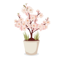 körsbär blomma blomma transparent bakgrund,ai generativ png