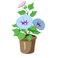 Morning Glory flower transparent background,Ai Generative png