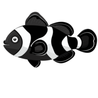 clown pesce trasparente sfondo, ai generativo png