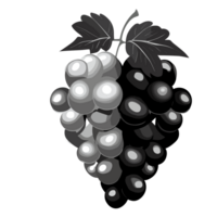 Grape transparent background,AI Generative png