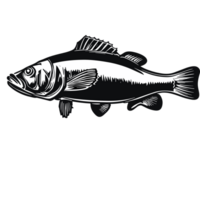 Fish transparent background,AI Generative png