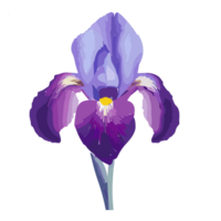 iris bloem transparant achtergrond, ai generatief png