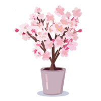 Cherry Blossom flower transparent background,Ai Generative png
