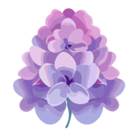 lilás flor transparente plano de fundo,ai generativo png