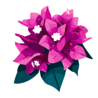 Bougainvillea flower transparent background,Ai Generative png