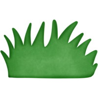 groen gras Aan de grond geïsoleerd Aan transparant achtergrond png