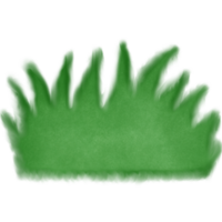 Green grass on the ground isolated on transparent background png