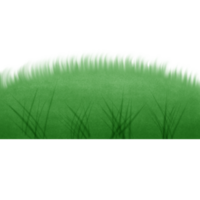 Green grass on the ground isolated on transparent background png