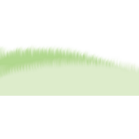 verde Relva em a terra isolado em transparente fundo png