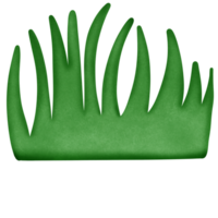 groen gras Aan de grond geïsoleerd Aan transparant achtergrond png