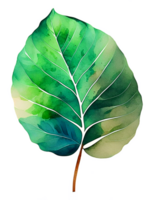vattenfärg tropisk blad ai generativ png