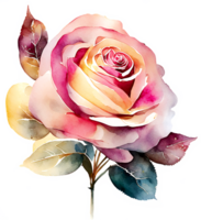 bonito acuarela rosado Rosa flor ai generativo png