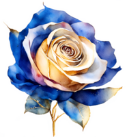 Pretty Watercolor Blue and Gold Rose Flower AI Generative png