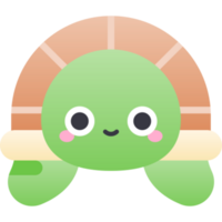 turtle illustration design png