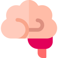 cerebro ilustración diseño png