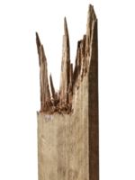 Holz. gebrochen Teile, transparent Hintergrund png