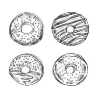 A hand-drawn sketch of a set of donuts. Top view. Vintage illustration.  Pastry sweets, dessert. Element for the design of labels, packaging and postcards. vector