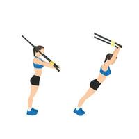 Woman doing Standing TRX Suspension strap ab rollout. abdominal roller exercise side view. vector illustration isolated on background