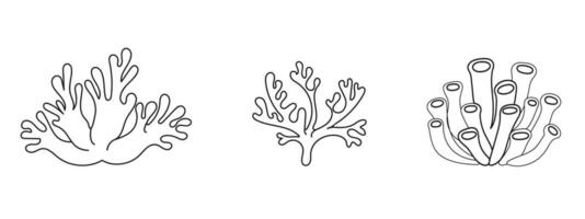 Contour line corals. Nautical elements set. Aquarium algae. Summer tropical design elements. vector