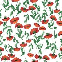 Summer seamless pattern with bright red poppy flowers and poppy pods. Field, meadow of poppies vector