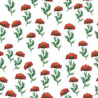 Summer seamless pattern with bright red poppy flowers and poppy pods. Field, meadow of poppies vector