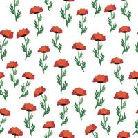 Summer seamless pattern with bright red poppy flowers and poppy pods. Field, meadow of poppies vector