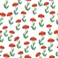 Summer seamless pattern with bright red poppy flowers and poppy pods. Field, meadow of poppies vector