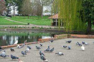 Beautiful Low Angle View of Wardown Museum Public Park of Luton City, England UK. Captured on April 16th, 2023 photo