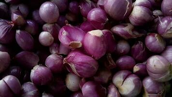 Horizontal footage, Heap of raw peeled red onion and fresh video