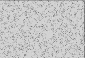 Light Silver, Gray vector background with bubbles.