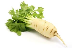 Parsnip isolated on white background photo