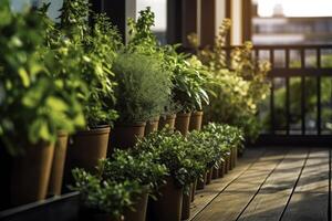 Herbs plants in pots - AI Generative photo