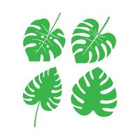 icono de hoja de monstera vector