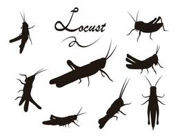 Grasshopper silhouette with many options, Locust flying, Walking, insect lover vector