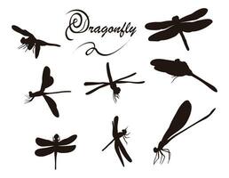 Dragonfly silhouette with many options, Flying dragonfly, Perch, insect lover vector