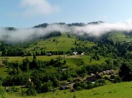 hermosa verano ver con bosque y nubes foto