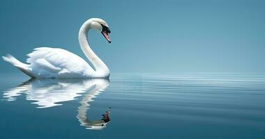 blanco cisne nadando en el agua - ai generativo foto