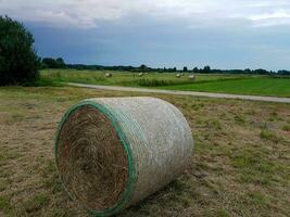 Hay harvest next to Hamburg photo