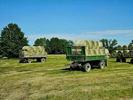 Hay harvest next to Hamburg photo