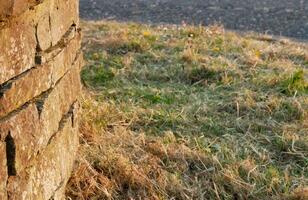 Old wall and grass, street photo background