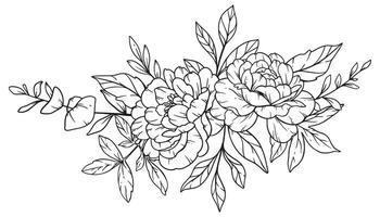 Peony  Line Art, Fine Line Peony Bouquets Hand Drawn Illustration. Coloring Page with Peony Flowers. vector