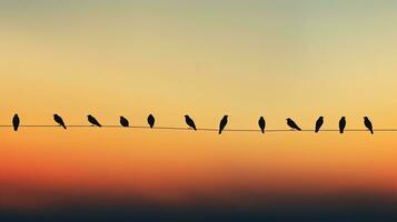 Ideal background for minimalist bird silhouette photography photo