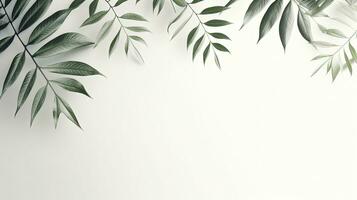 White texture background with natural shadow overlay for product presentation backdrop and mockup in summer theme. silhouette concept photo