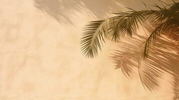 Shadow of palm tree on wall during summer. silhouette concept photo