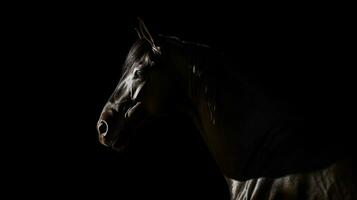 Budenny horse s shadow on black background. silhouette concept photo