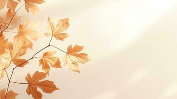 Minimalistic autumn background with maple leaf shadows on beige. silhouette concept photo