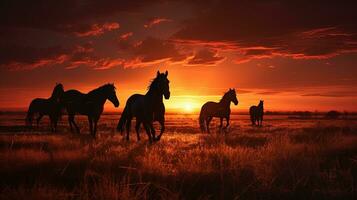 grupo de caballos comiendo en un campo a oscuridad. silueta concepto foto