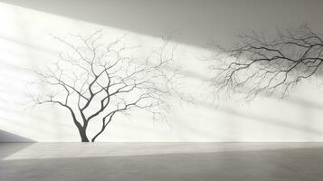 Shadow of leaves on tree branch and trunk pattern on white concrete wall black and white nature shadow art on wall. silhouette concept photo